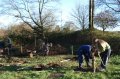 TWIG in the thick of it, digging, planting, tying and protecting trees in the new coppice