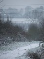 Winter scene looking out to the Hogs Back