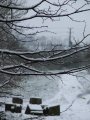 Snow in sharp focus