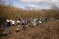 Volunteers in action planting over 140 trees from eforests