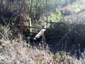 First stile made by volunteers