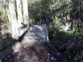 Second bridge into the 