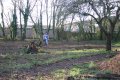 Preparing the Orchard Ground for Staking