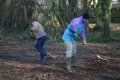 Synchronised Raking of the Orchard Ground