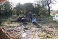 Bonfire Building in Clearing the Orchard Ground
