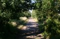 End of the line, near bench, looking back to Garbetts