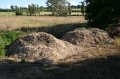 Recycling - wood chippings at the end of the line