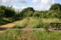 Picnic Bench (Wheelchair Access) by Butterfly Glade