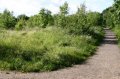 View to Butterfly Glade and  down butterfly scallop path
