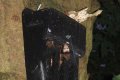 Bats hiding amongst the moths