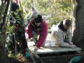 Teamwork! Hammering planks down on the bridge