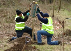 Alan Eggleton and Carl Chadbond in action hammering tree stakes